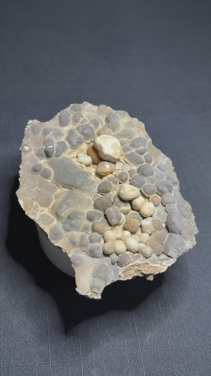 Grey and cream Bird’s Nest aragonite with rounded cave pearls from the Erzberg Mine in Austria