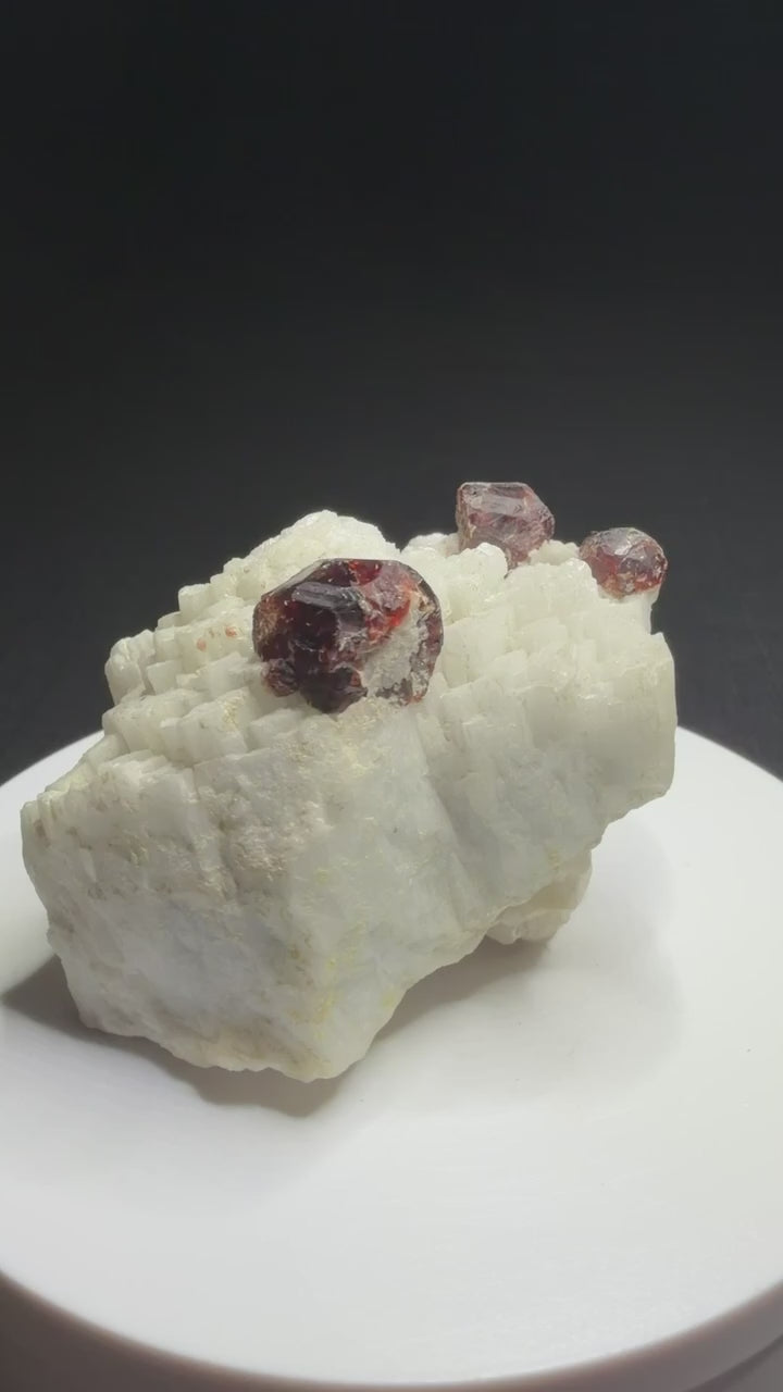 Reddish-brown spessartine garnet crystals on white albite from Shigar Valley, Skardu, Pakistan