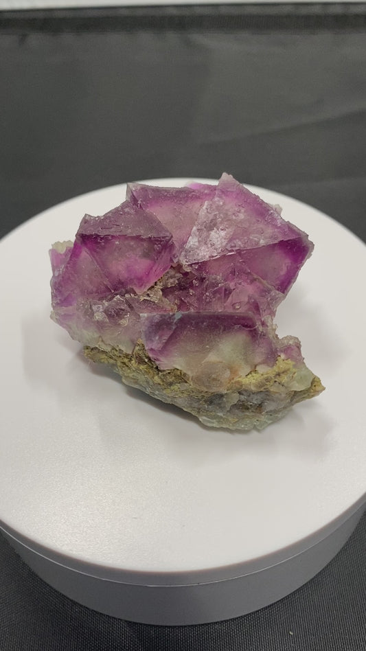 Fluorite, Surprise Mine, New Mexico