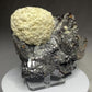 Barite on Sphalerite, Elmwood Mine, Tennessee, USA