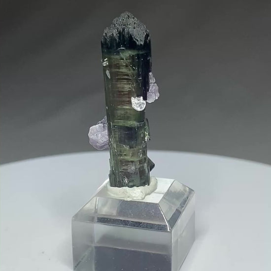Tourmaline with Lepidolite, San Diego (KCSD) Mine, California, USA