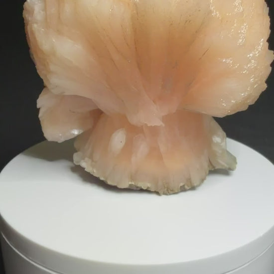 Peach-pink stilbite-Ca crystal cluster from Jalgaon, India