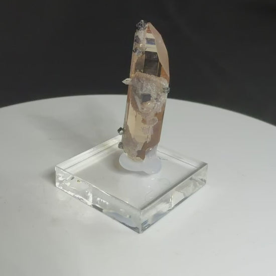 Sherry-colored topaz crystal with black bixbyite crystals from Topaz Mountain, Thomas Range, Utah, USA