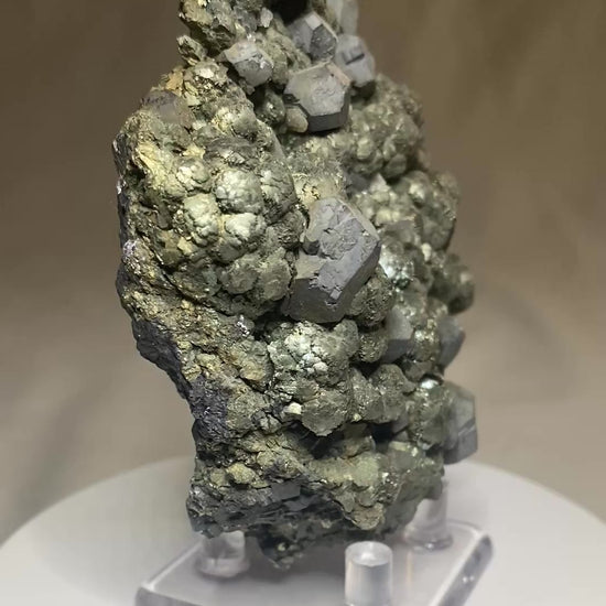 Galena on Marcasite, Buick Mine (Amax Mine; Moloc Mine), Bixby, Missouri