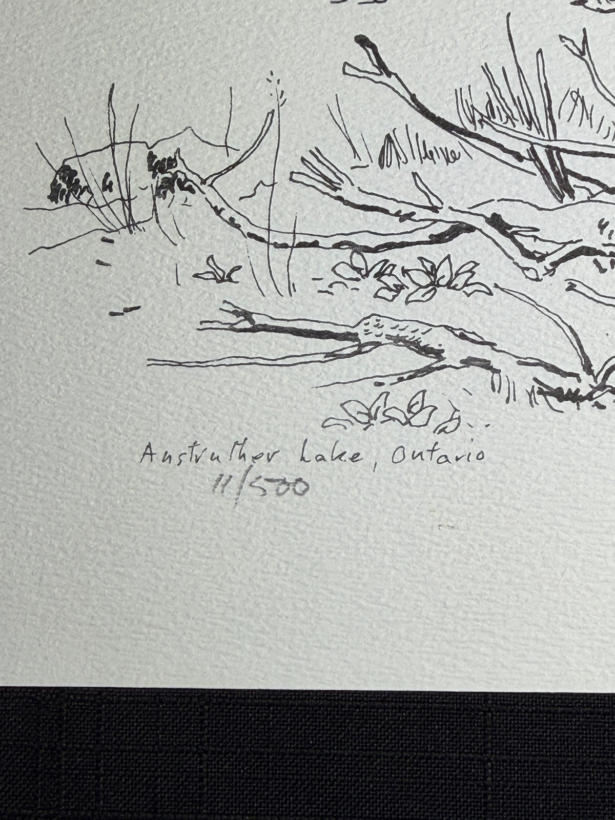 Close-up of the inscriptions “Anstruther Lake, Ontario” and “11/500” beneath the woodland scene.
