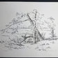 Pen drawing of Anstruther Lake by Prosper J. Williams, showing shoreline trees, fallen branches and water beyond