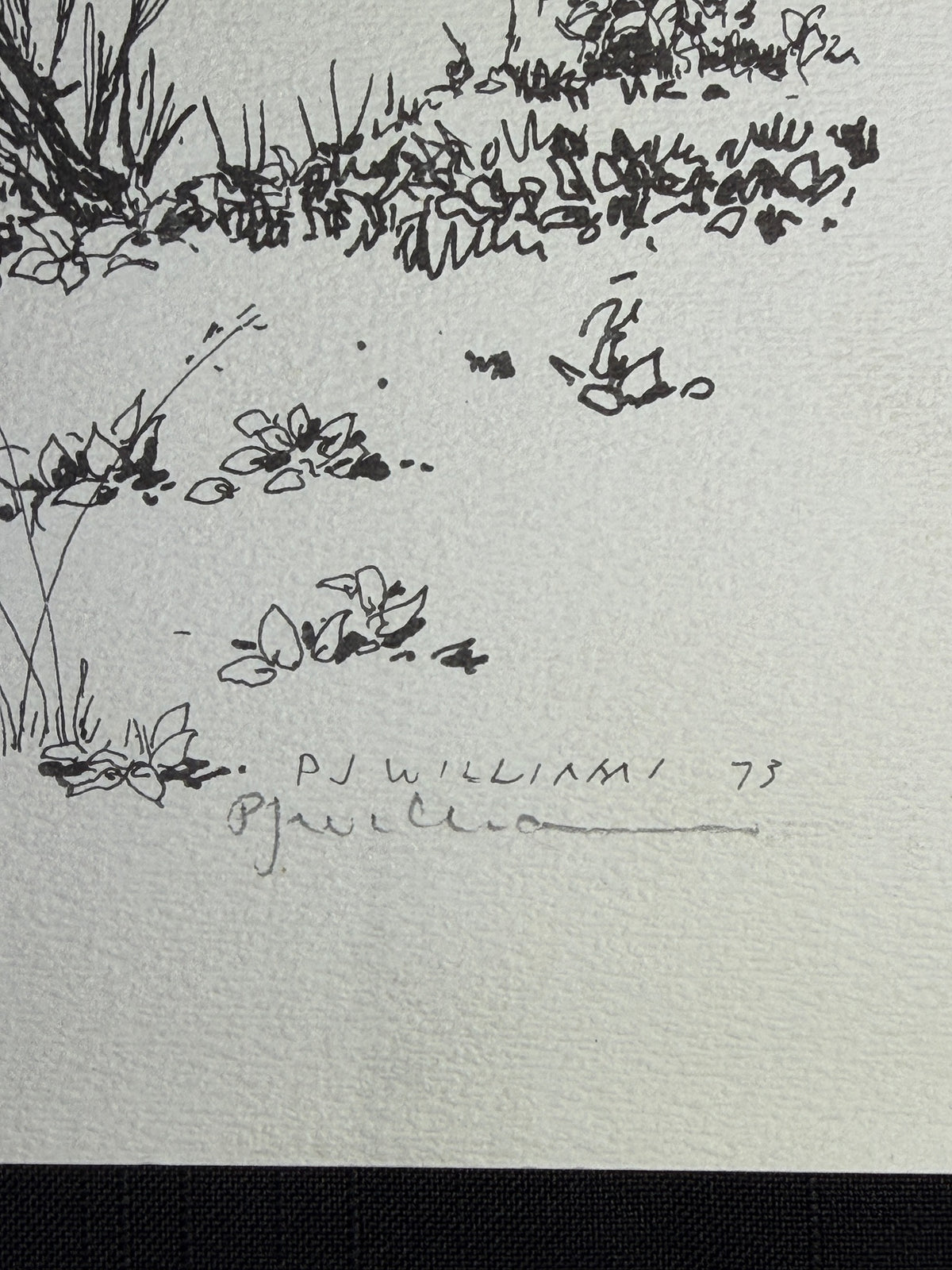 Close-up of the P. J. Williams signature and date ’73 on the Anstruther Lake drawing.