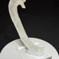 Curved white Ram’s Horn selenite from the Mariposa Mine in Texas