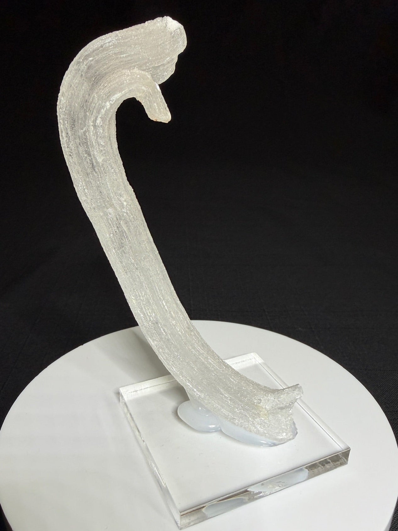Curved white Ram’s Horn selenite from the Mariposa Mine in Texas