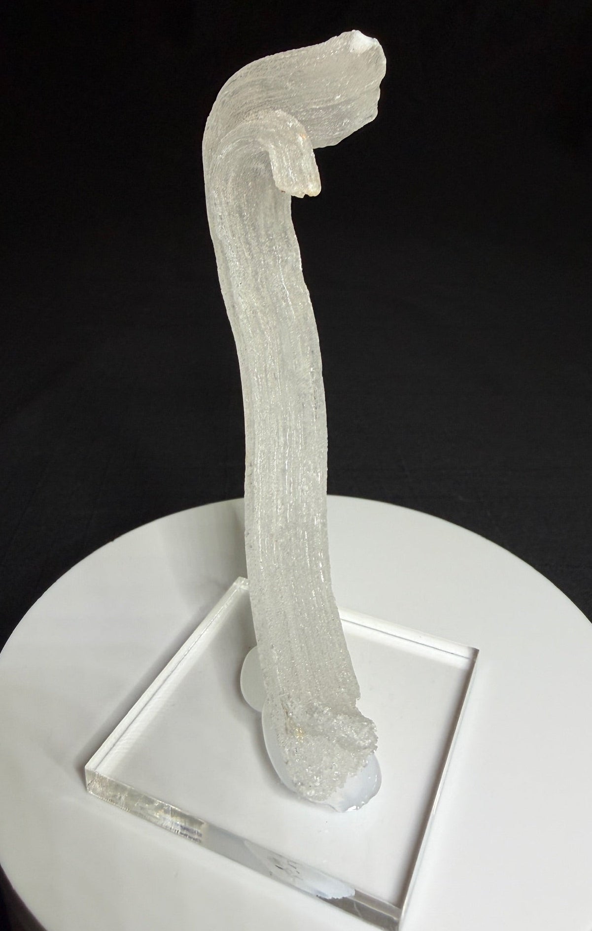 Curved white Ram’s Horn selenite from the Mariposa Mine in Texas