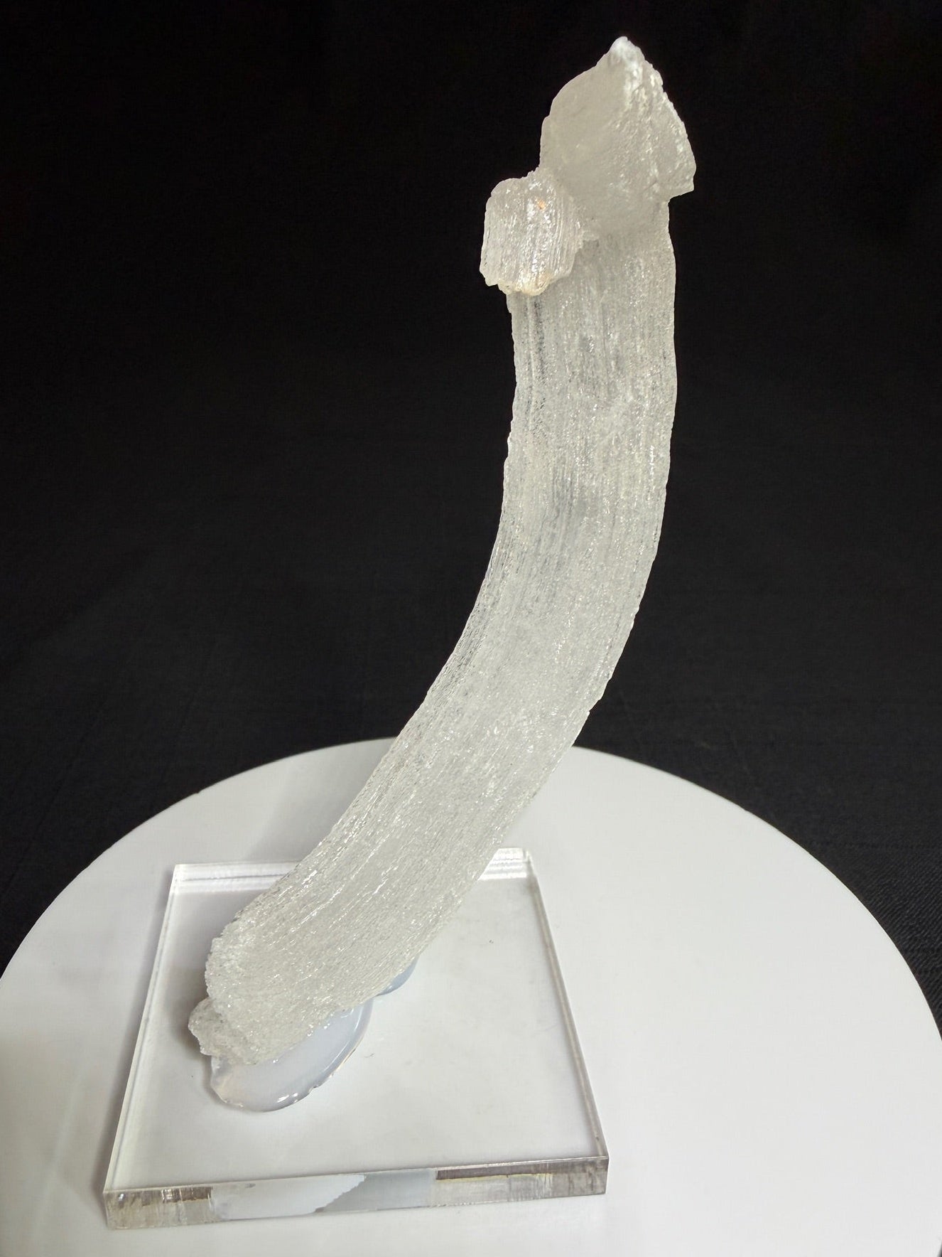 Curved white Ram’s Horn selenite from the Mariposa Mine in Texas