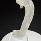 Curved white Ram’s Horn selenite from the Mariposa Mine in Texas