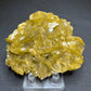 Siderite, Morro Velho, Nova Lima, Minas Gerais, Brazil
