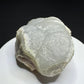 smithsonite-sierra-mojada-coahuila-mexico-01
