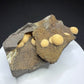 Pale yellow spherical calcite formations on dark basalt from Zhejiang Province, China