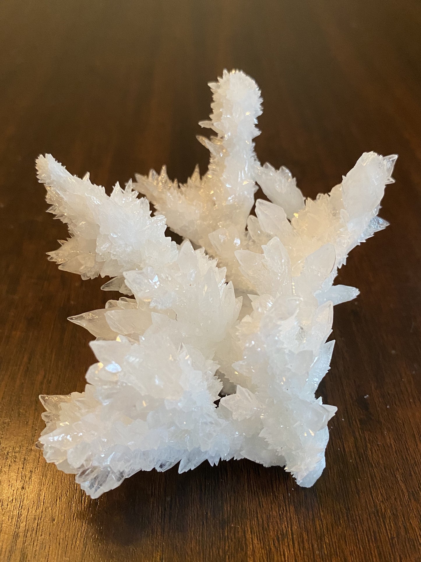 Calcite "snowflake", Mexico