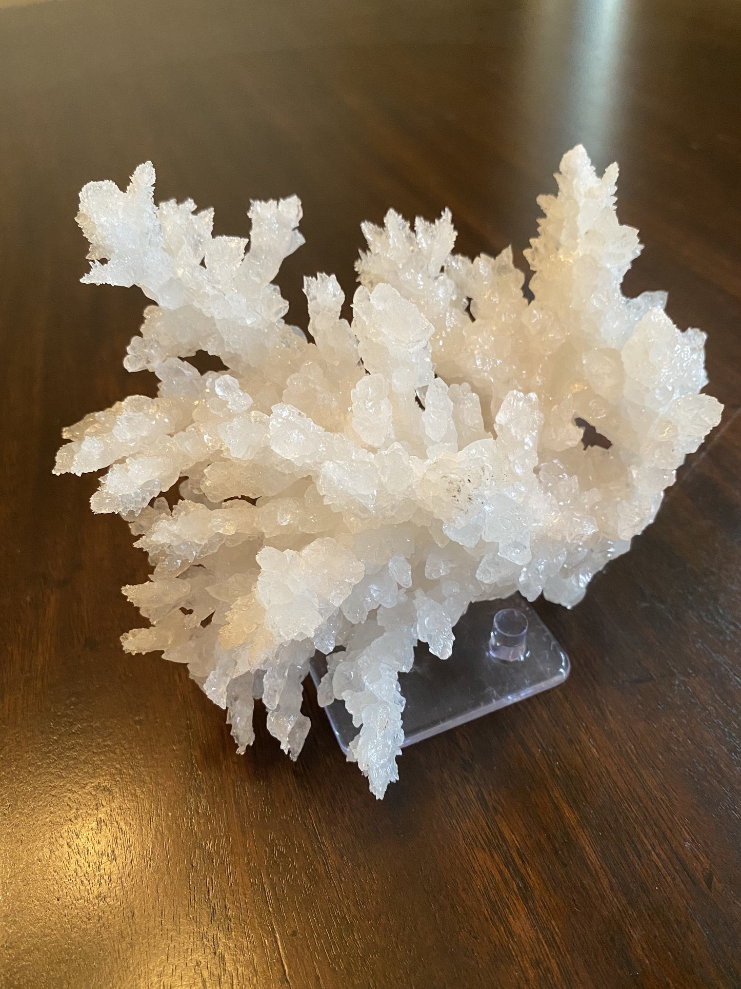 Calcite "snowflake", Mexico