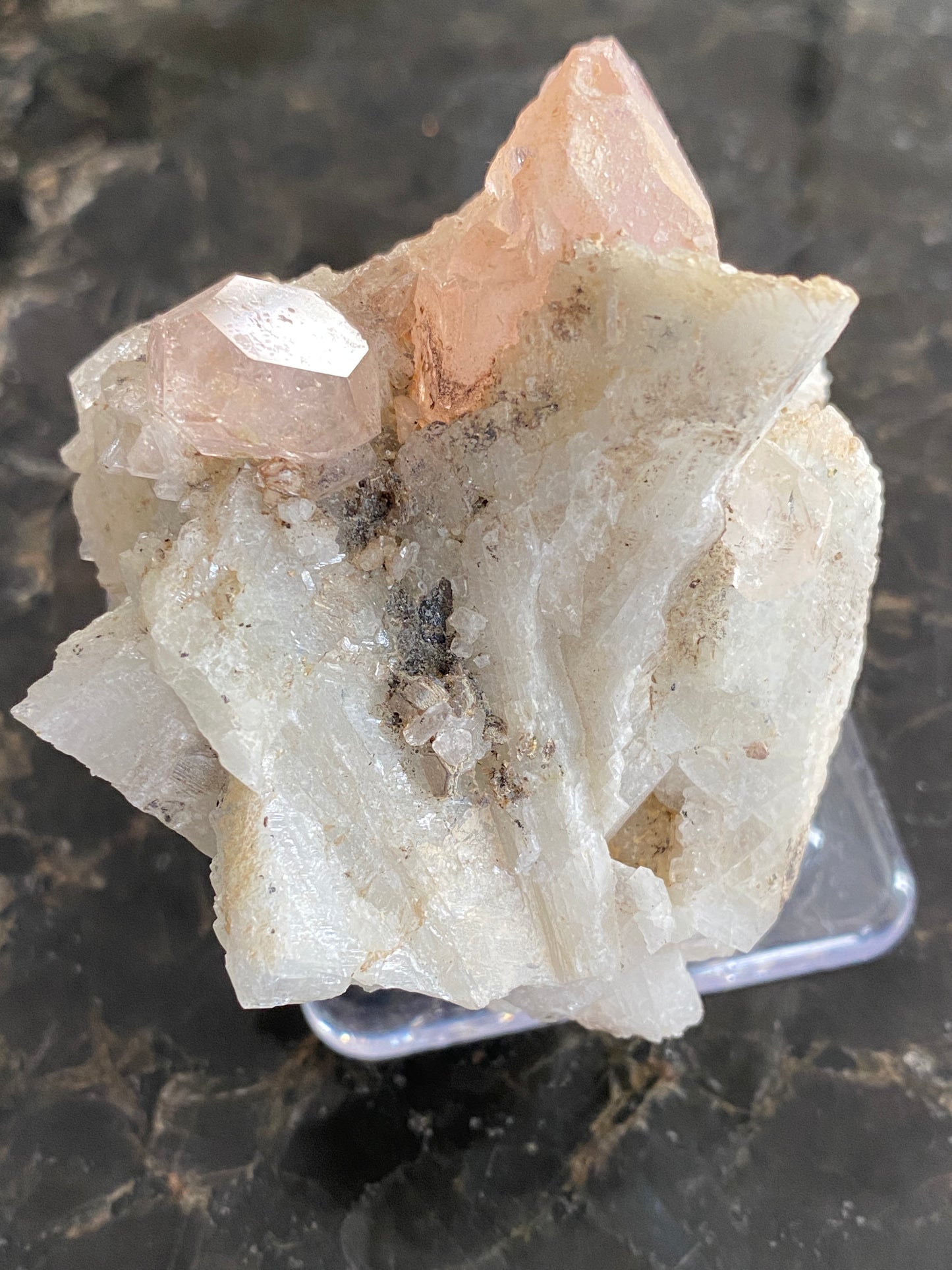 Beryl var Morganite, Minas Gerais, Brazil